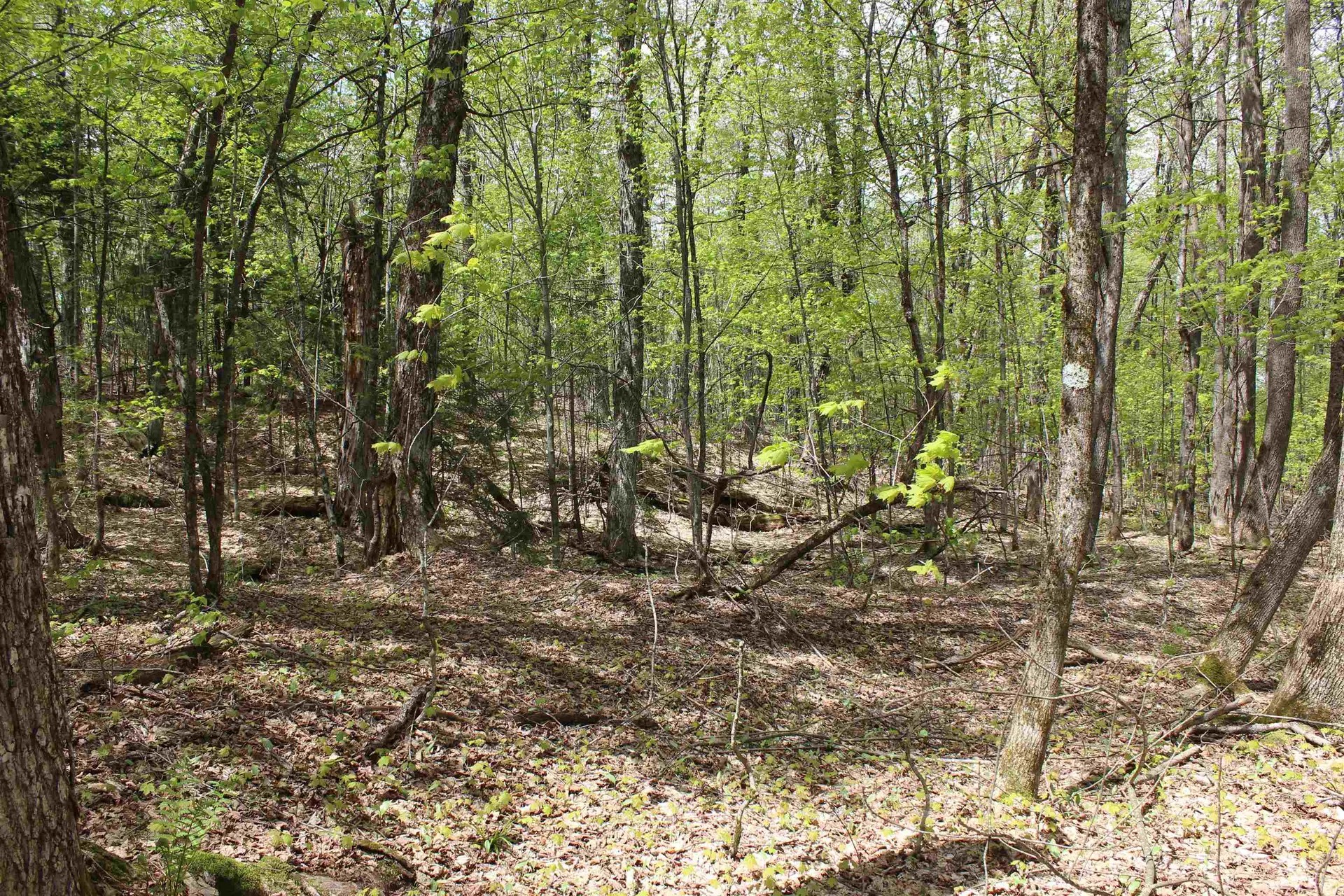 00 Long Hill Road Woodstock VT 05091