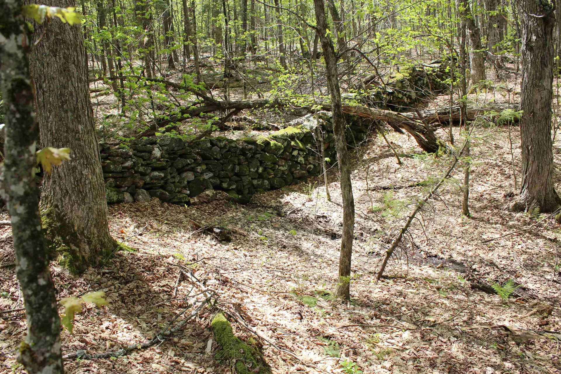 00 Long Hill Road Woodstock VT 05091