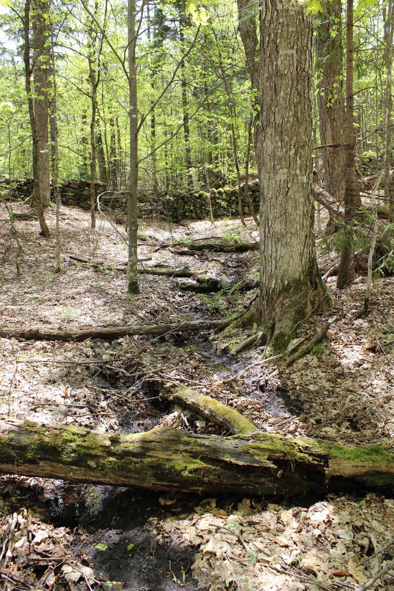 00 Long Hill Road Woodstock VT 05091