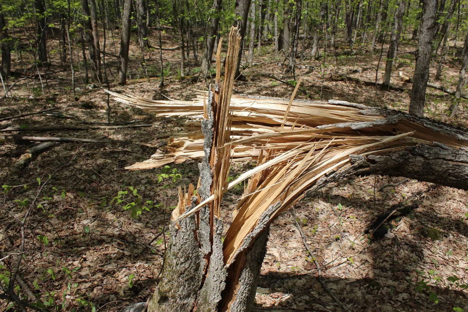 00 Long Hill Road Woodstock VT 05091