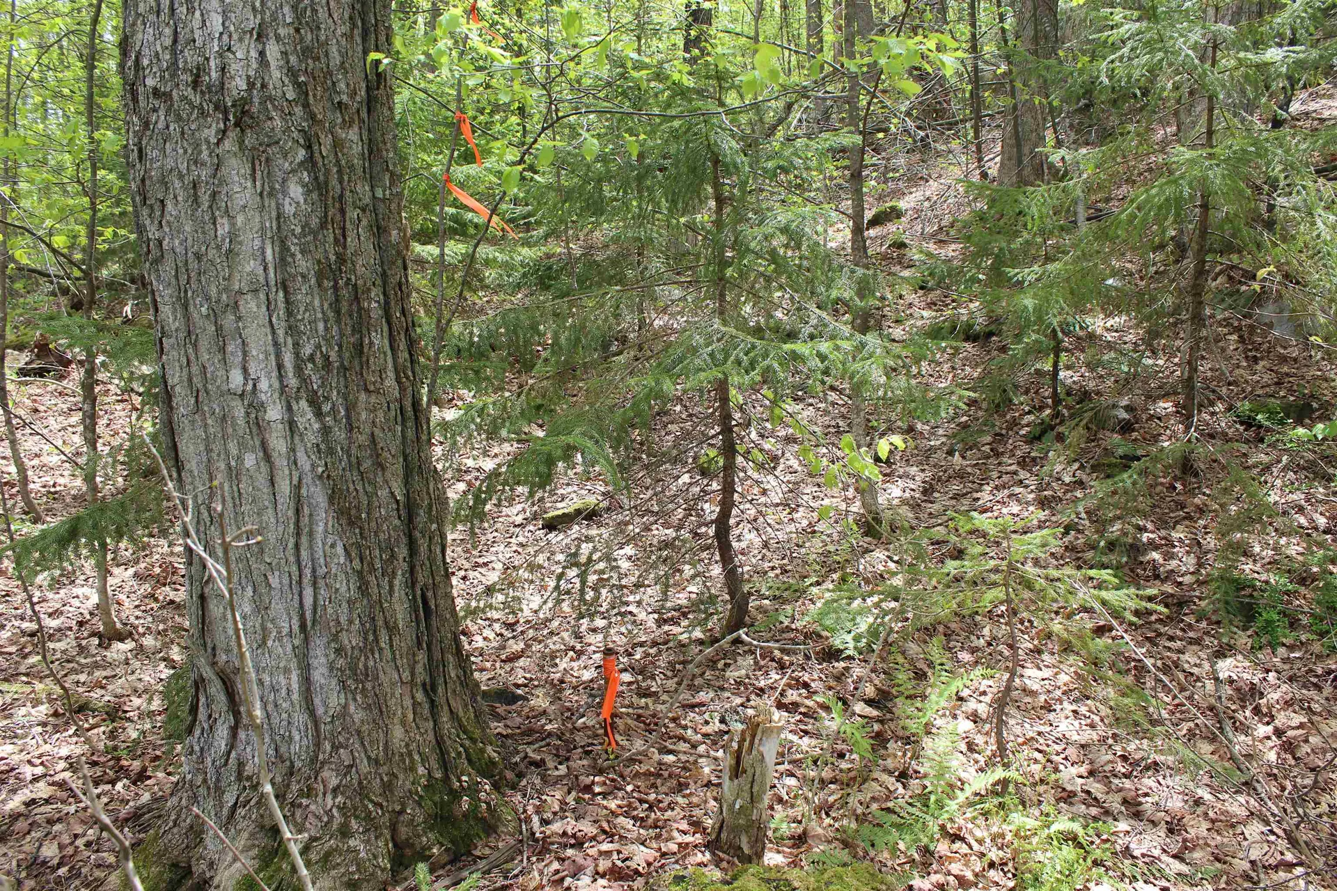 00 Long Hill Road Woodstock VT 05091