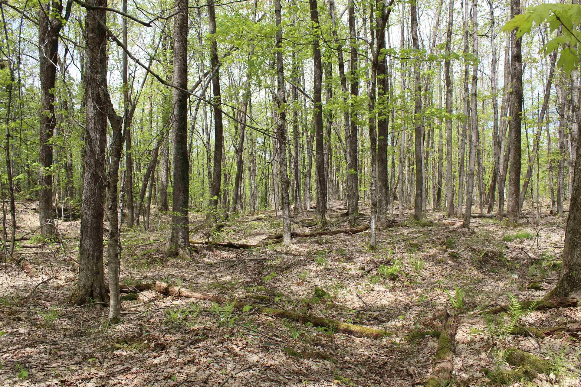 00 Long Hill Road Woodstock VT 05091