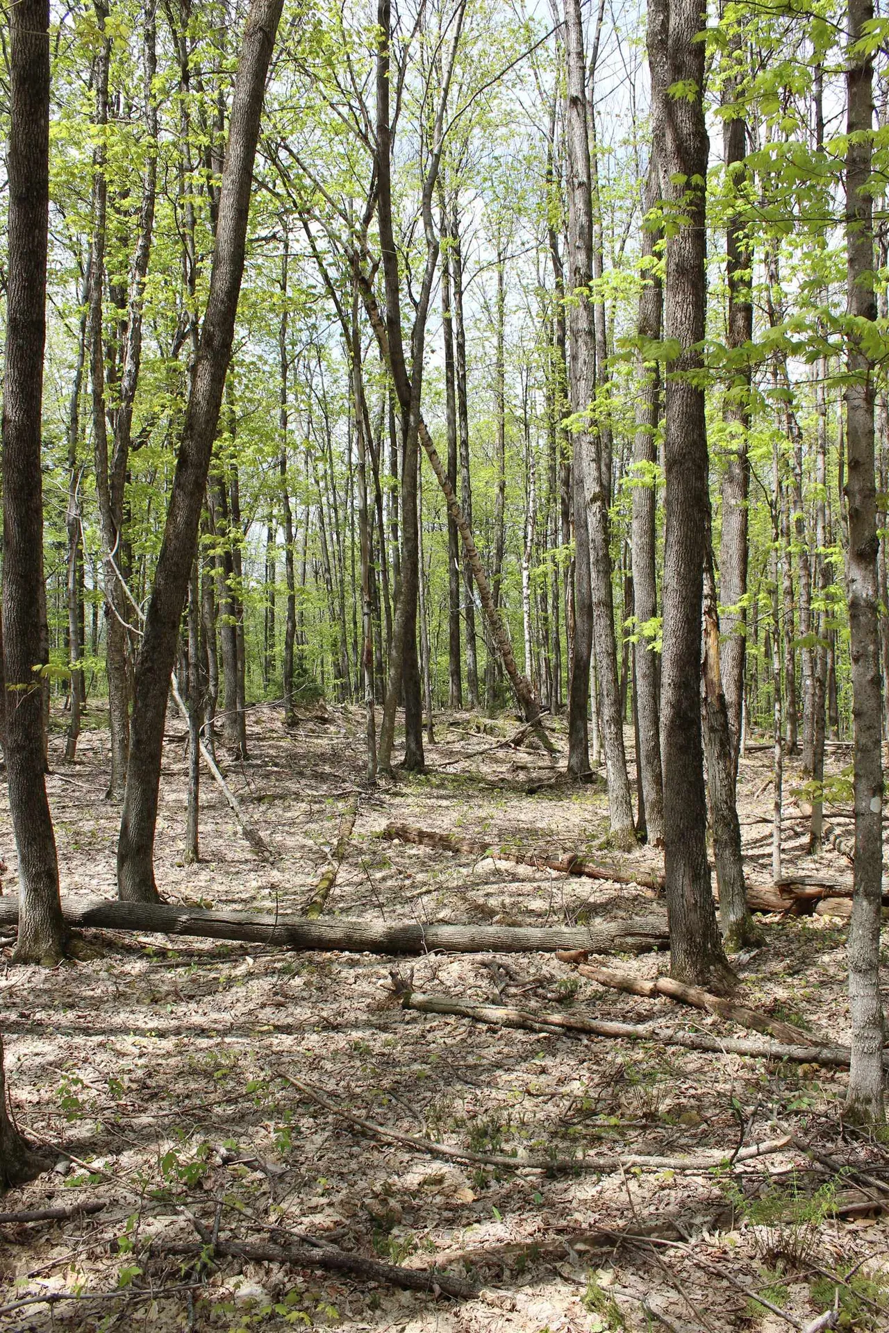 00 Long Hill Road Woodstock VT 05091