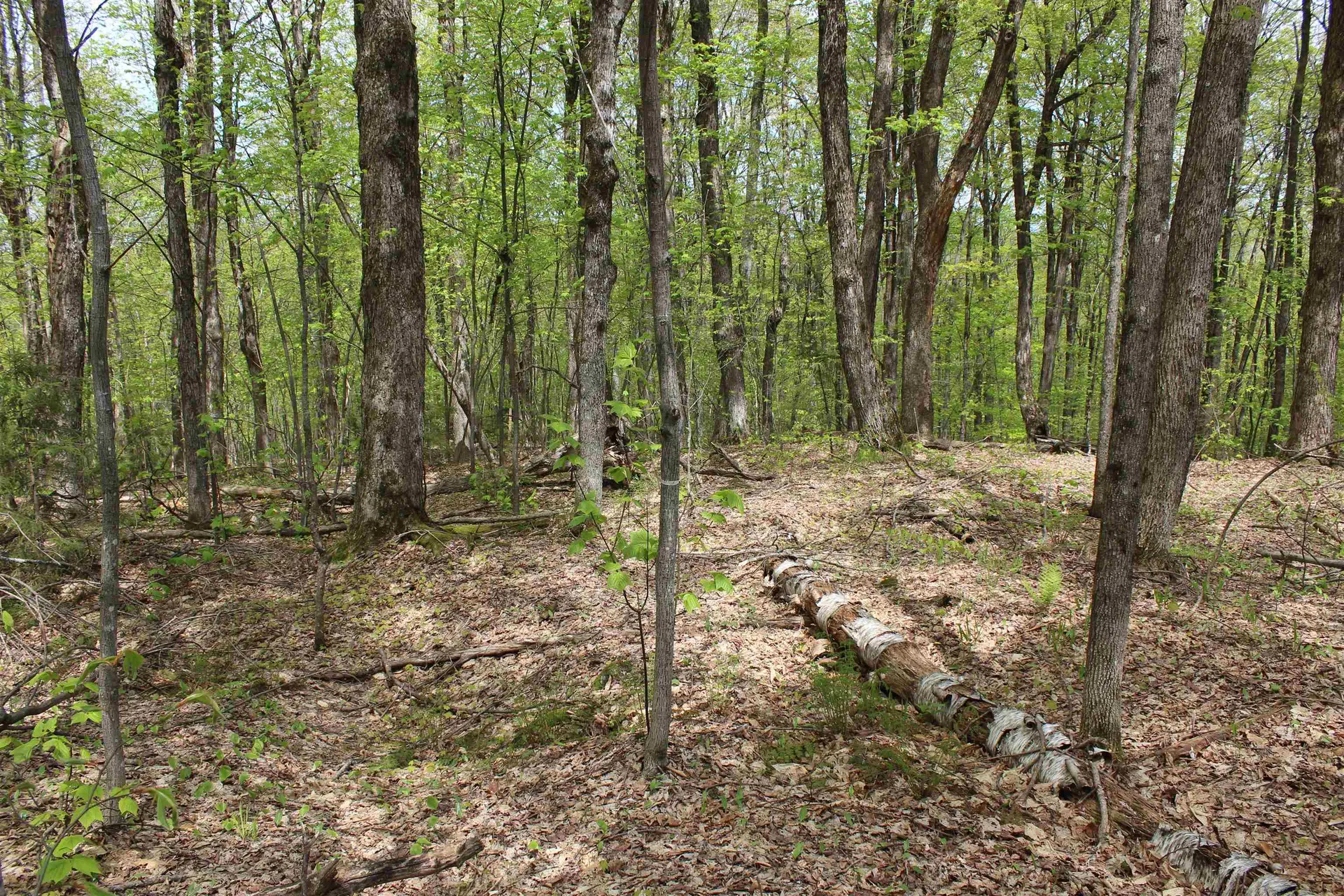 00 Long Hill Road Woodstock VT 05091