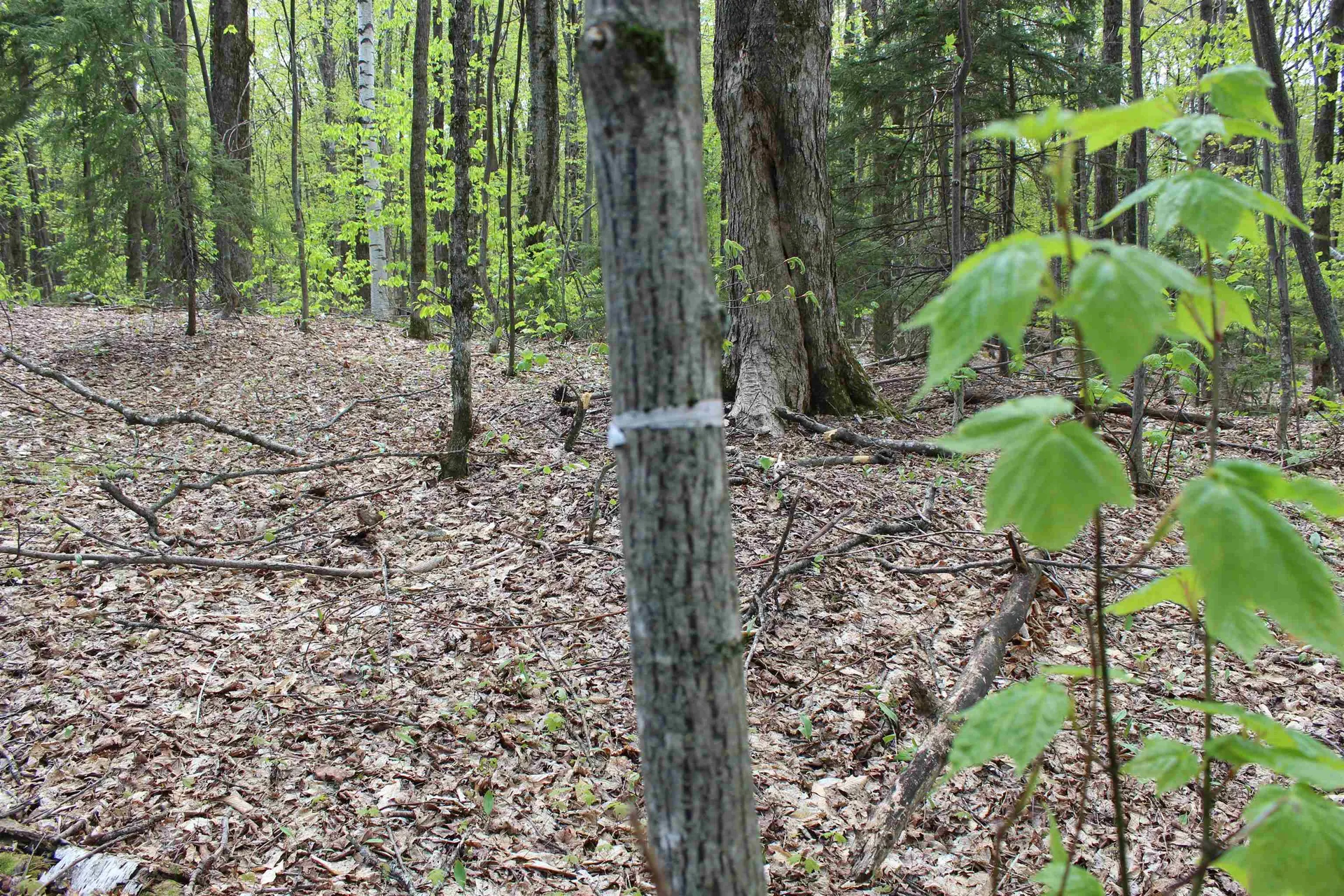 00 Long Hill Road Woodstock VT 05091