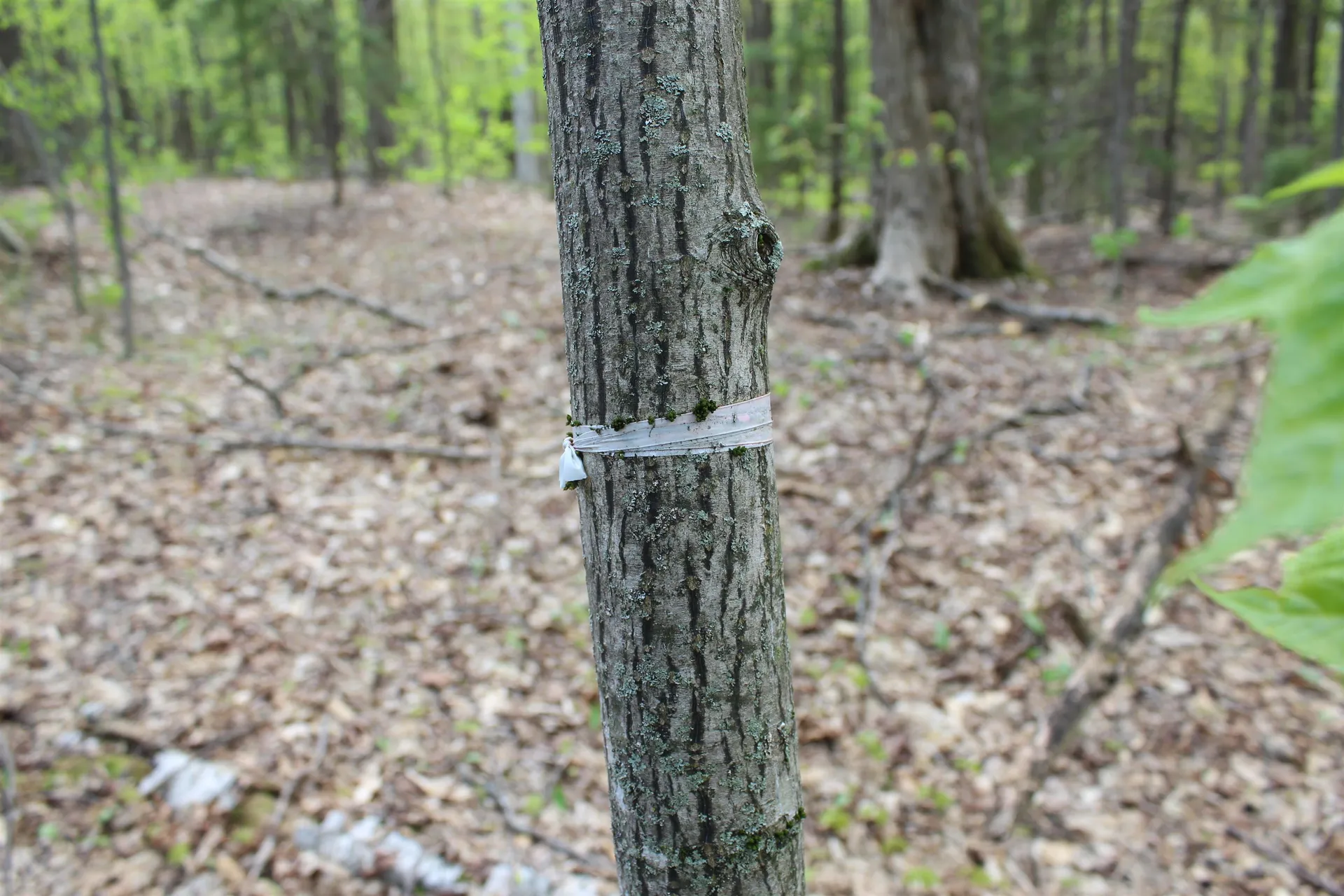 00 Long Hill Road Woodstock VT 05091