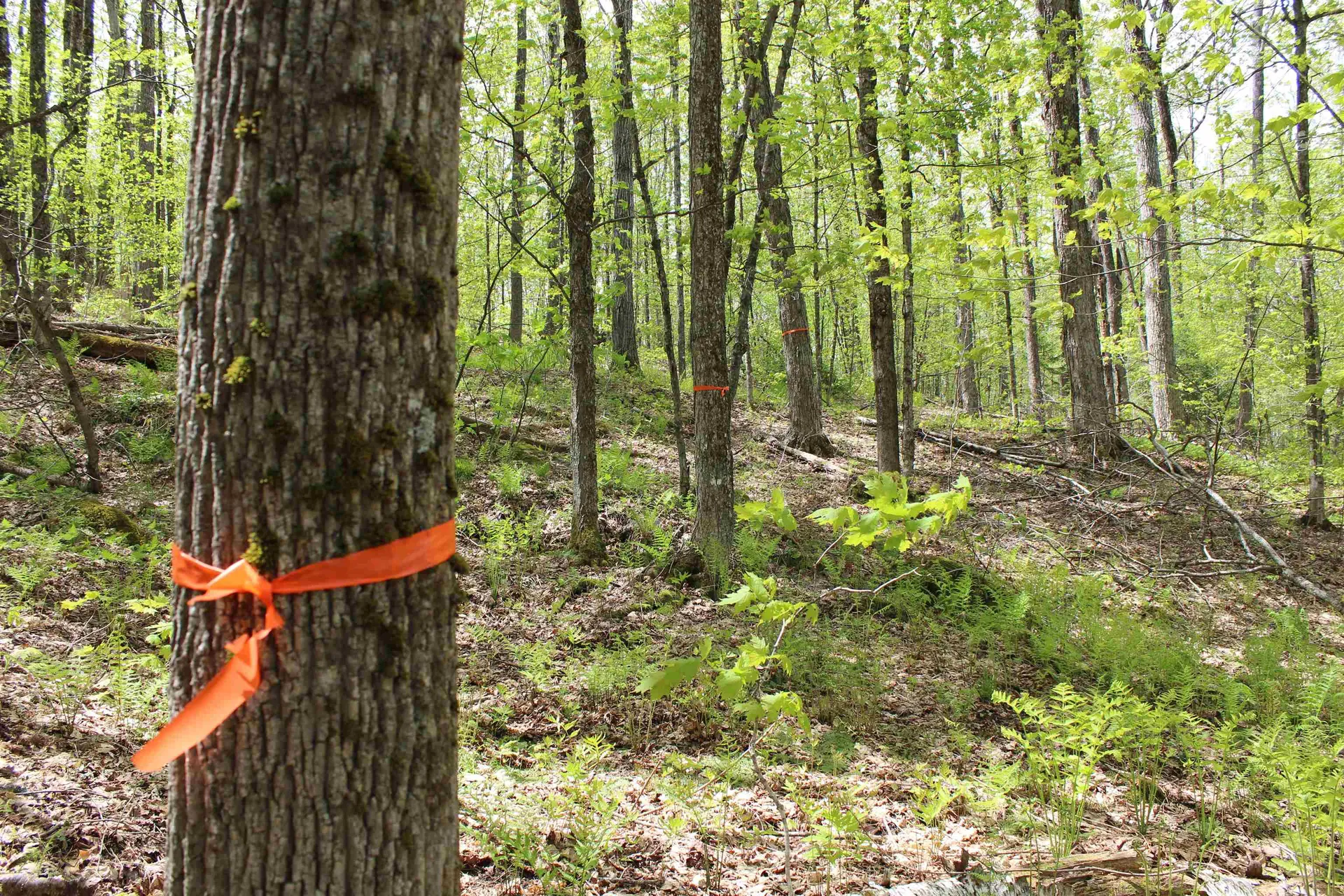 00 Long Hill Road Woodstock VT 05091