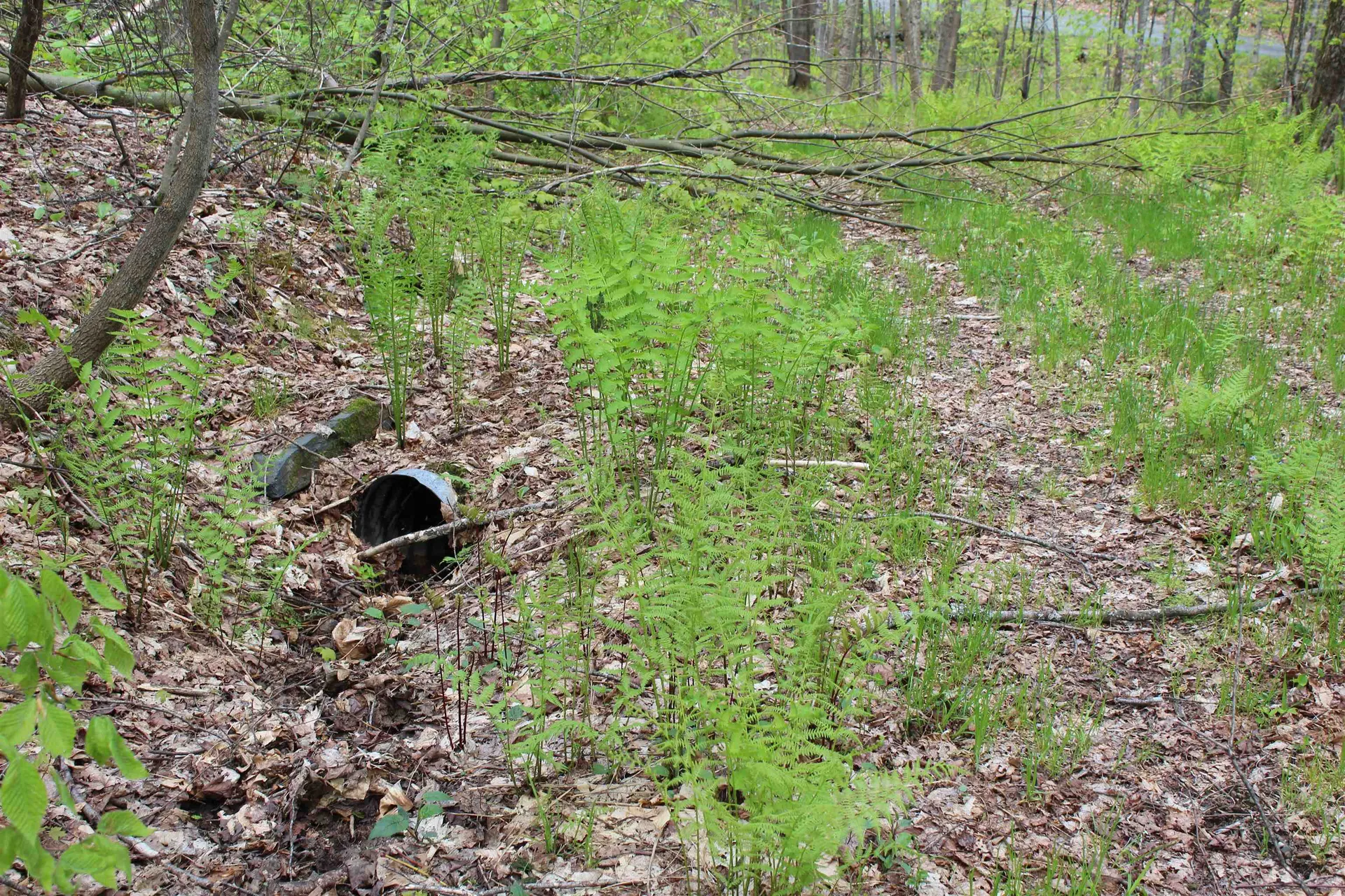 00 Long Hill Road Woodstock VT 05091