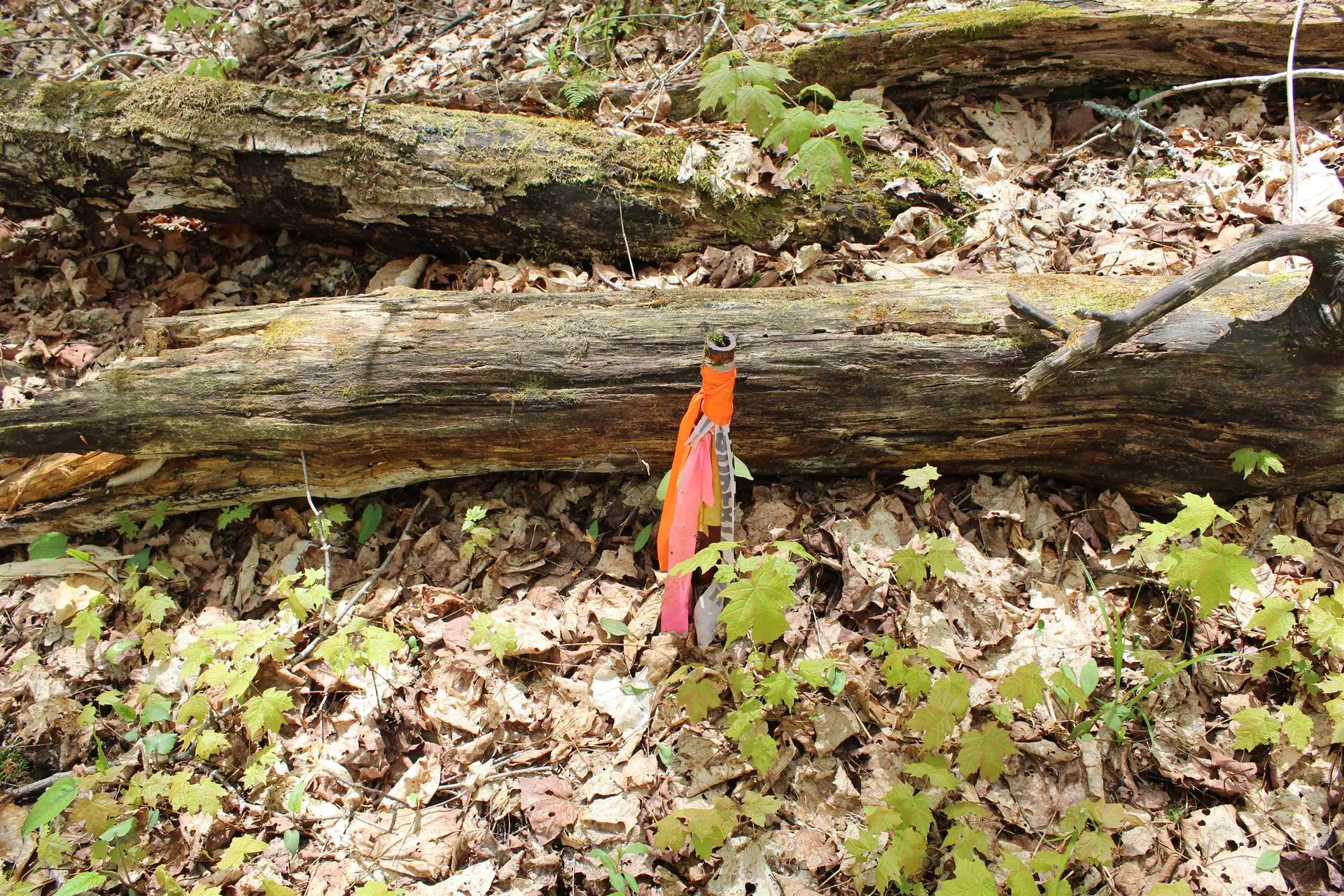00 Long Hill Road Woodstock VT 05091