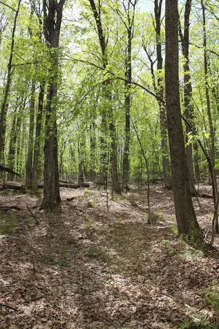 00 Long Hill Road Woodstock VT 05091