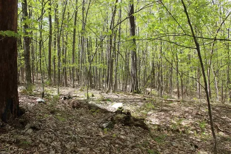 00 Long Hill Road Woodstock VT 05091