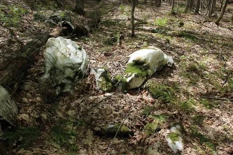 00 Long Hill Road Woodstock VT 05091