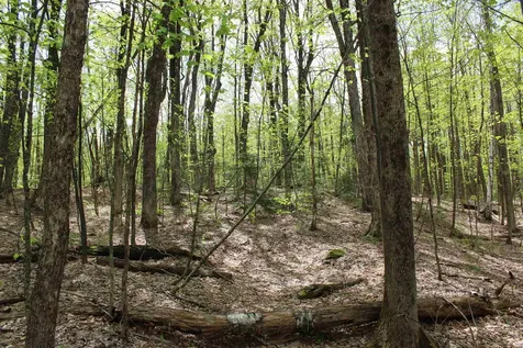 00 Long Hill Road Woodstock VT 05091