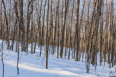 00 Long Hill Road Woodstock VT 05091