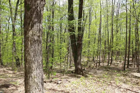 00 Long Hill Road Woodstock VT 05091