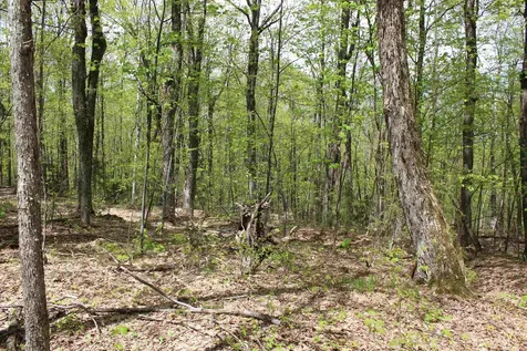 00 Long Hill Road Woodstock VT 05091