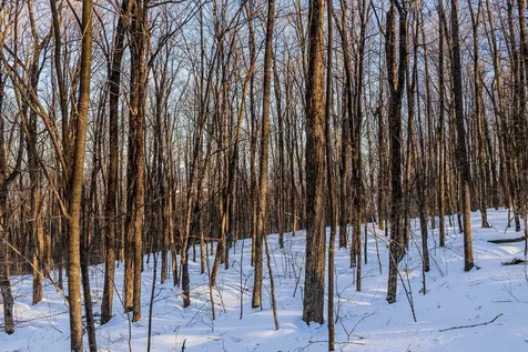 00 Long Hill Road Woodstock VT 05091