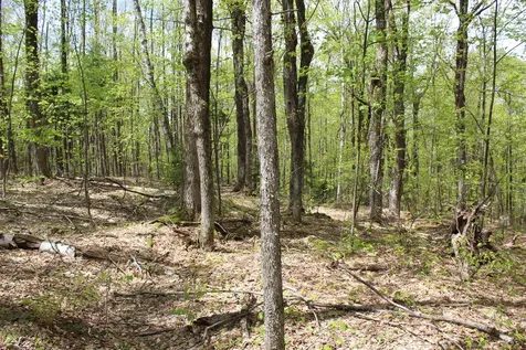 00 Long Hill Road Woodstock VT 05091