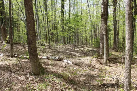 00 Long Hill Road Woodstock VT 05091