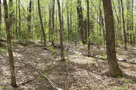 00 Long Hill Road Woodstock VT 05091