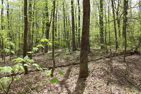 00 Long Hill Road Woodstock VT 05091