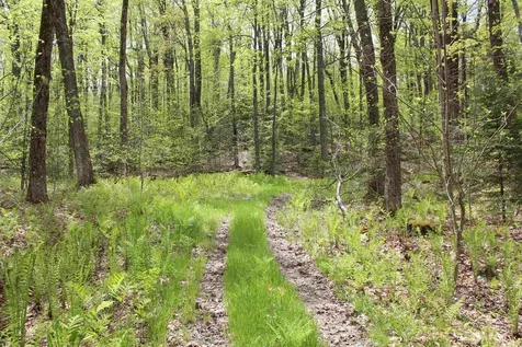 00 Long Hill Road Woodstock VT 05091