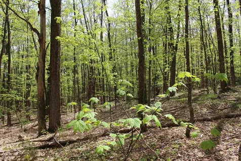 00 Long Hill Road Woodstock VT 05091