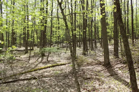 00 Long Hill Road Woodstock VT 05091