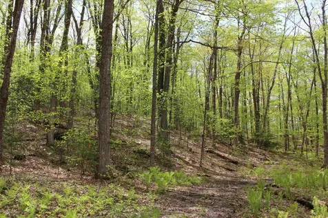 00 Long Hill Road Woodstock VT 05091