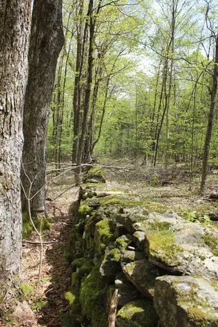 00 Long Hill Road Woodstock VT 05091