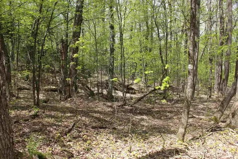 00 Long Hill Road Woodstock VT 05091