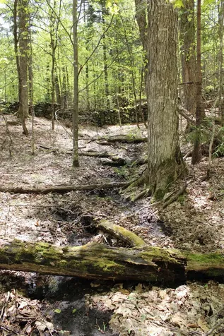 00 Long Hill Road Woodstock VT 05091