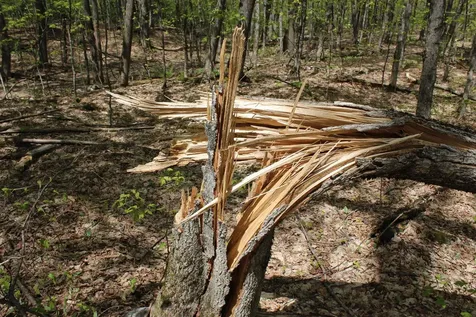00 Long Hill Road Woodstock VT 05091