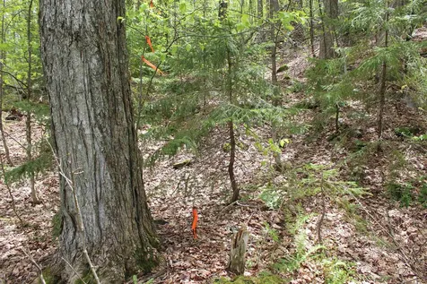 00 Long Hill Road Woodstock VT 05091