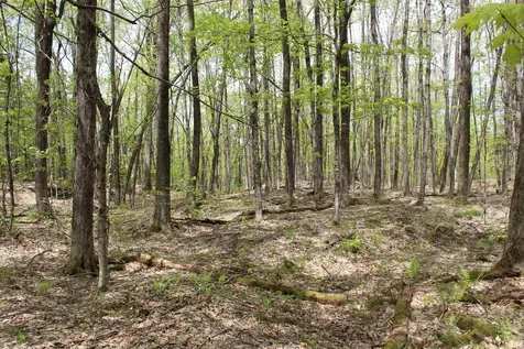 00 Long Hill Road Woodstock VT 05091