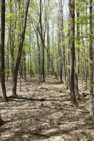 00 Long Hill Road Woodstock VT 05091