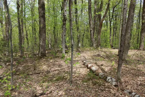 00 Long Hill Road Woodstock VT 05091