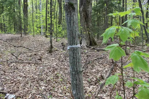 00 Long Hill Road Woodstock VT 05091