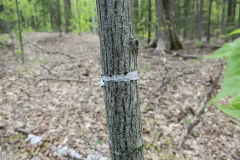 00 Long Hill Road Woodstock VT 05091