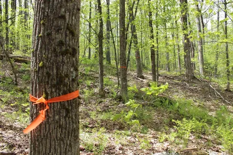 00 Long Hill Road Woodstock VT 05091