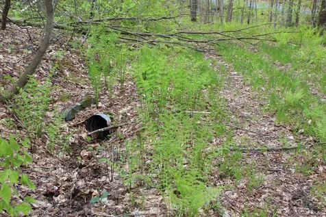 00 Long Hill Road Woodstock VT 05091