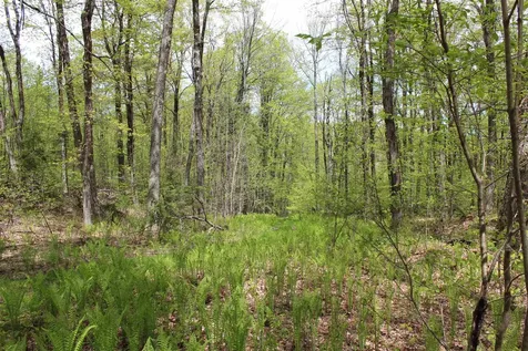 00 Long Hill Road Woodstock VT 05091