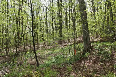 00 Long Hill Road Woodstock VT 05091