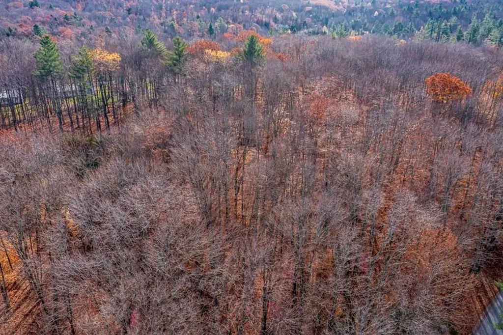 Oa East Manchester Road Manchester VT 05255