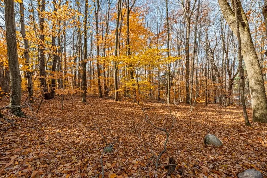 Oa East Manchester Road Manchester VT 05255