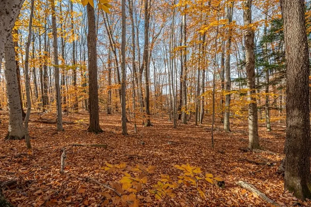 Oa East Manchester Road Manchester VT 05255