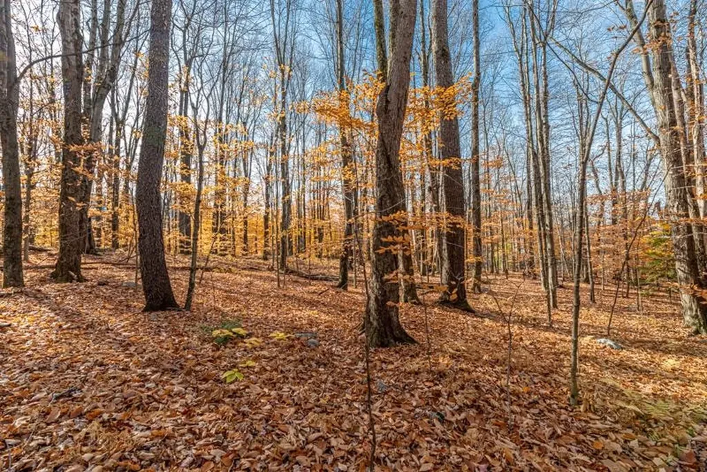 Oa East Manchester Road Manchester VT 05255