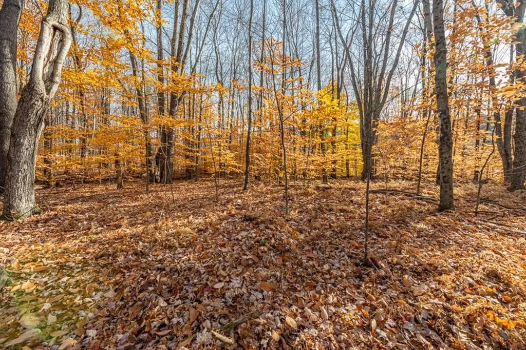 Oa East Manchester Road Manchester VT 05255