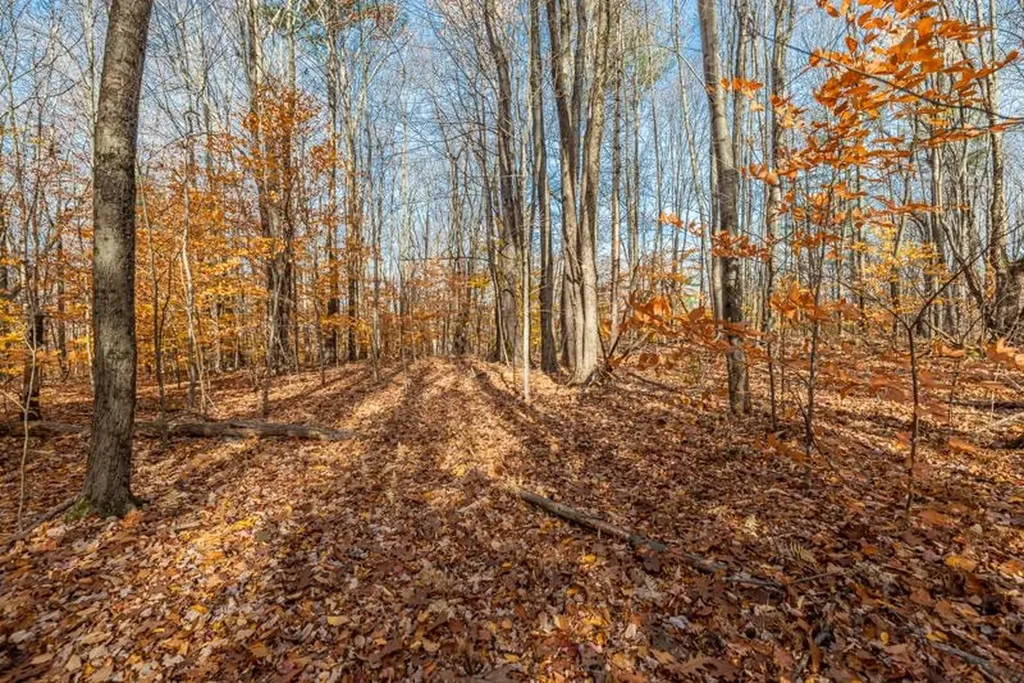 Oa East Manchester Road Manchester VT 05255