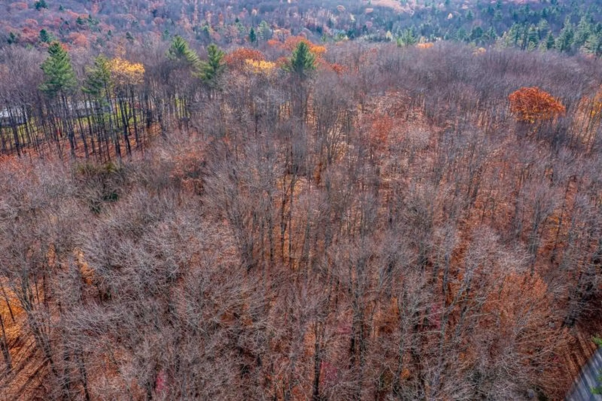 Oa East Manchester Road Manchester VT 05255